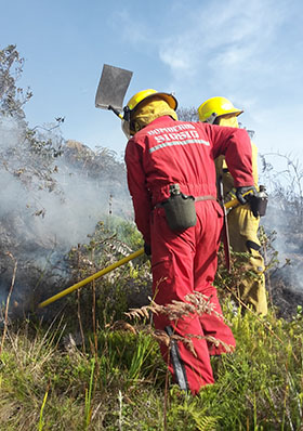 BOMBEROS